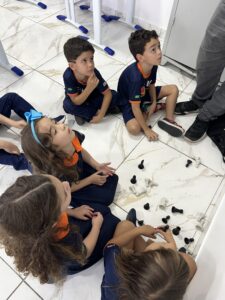xadrez na educação infantil